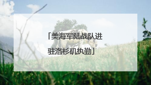 美海军陆战队进驻洛杉矶执勤