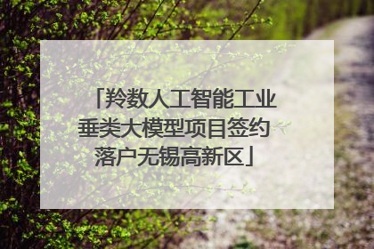羚数人工智能工业垂类大模型项目签约落户无锡高新区
