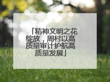 精神文明之花绽放，周村以高质量审计护航高质量发展