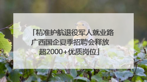 精准护航退役军人就业路 广西国企夏季招聘会释放超2000+优质岗位