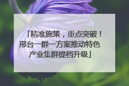 精准施策，重点突破！邢台一群一方案推动特色产业集群提档升级