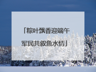 粽叶飘香迎端午 军民共叙鱼水情