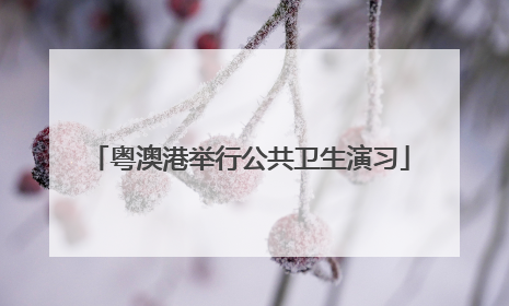 粤澳港举行公共卫生演习