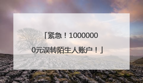 紧急！10000000元误转陌生人账户！