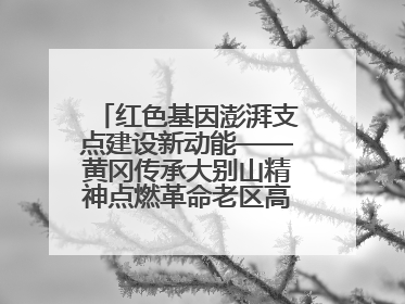 红色基因澎湃支点建设新动能——黄冈传承大别山精神点燃革命老区高质量发展新引擎