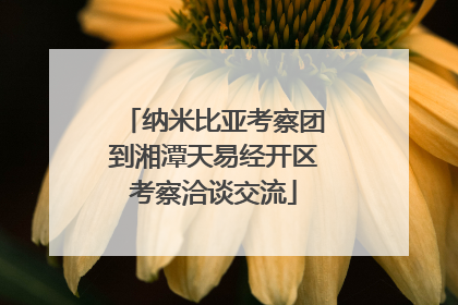 纳米比亚考察团到湘潭天易经开区考察洽谈交流