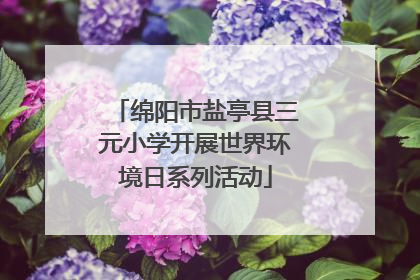 绵阳市盐亭县三元小学开展世界环境日系列活动