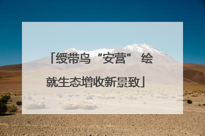 绶带鸟“安营” 绘就生态增收新景致