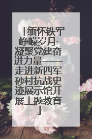 缅怀铁军峥嵘岁月·凝聚党建奋进力量——走进新四军砂村抗战史迹展示馆开展主题教育