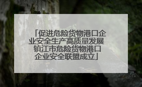 促进危险货物港口企业安全生产高质量发展 镇江市危险货物港口企业安全联盟成立