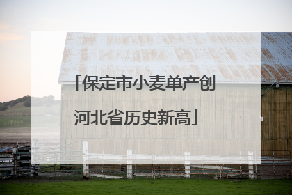 保定市小麦单产创河北省历史新高