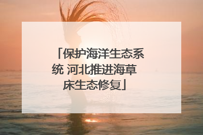 保护海洋生态系统 河北推进海草床生态修复