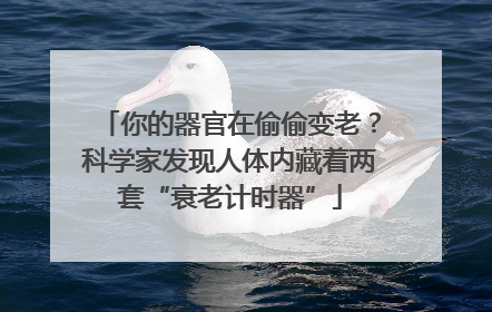 你的器官在偷偷变老？科学家发现人体内藏着两套“衰老计时器”