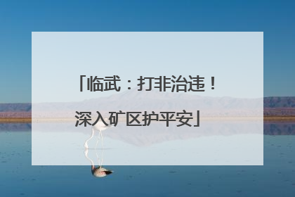 临武：打非治违！深入矿区护平安