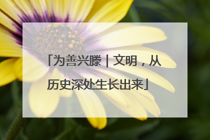 为善兴滕｜文明，从历史深处生长出来