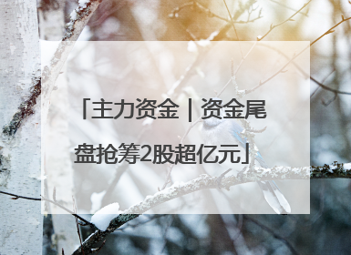 主力资金｜资金尾盘抢筹2股超亿元