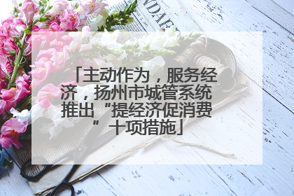 主动作为，服务经济，扬州市城管系统推出“提经济促消费”十项措施