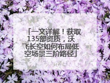 一文详解！获取135部资质，沃飞长空如何布局低空场景三阶路径