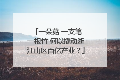 一朵菇 一支笔 一根竹 何以撬动浙江山区百亿产业？