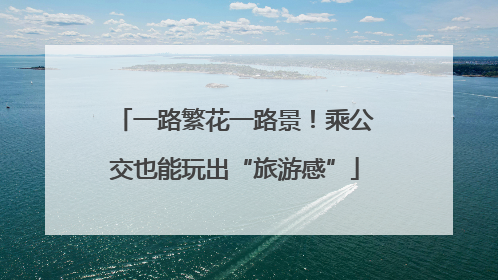 一路繁花一路景！乘公交也能玩出“旅游感”