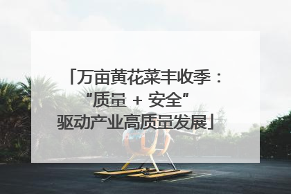 万亩黄花菜丰收季：“质量 + 安全” 驱动产业高质量发展