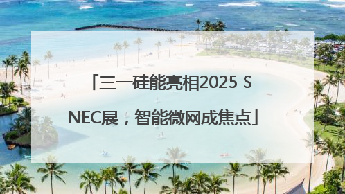 三一硅能亮相2025 SNEC展，智能微网成焦点