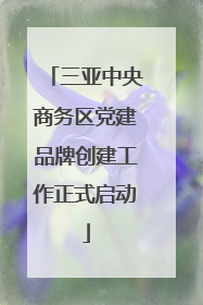 三亚中央商务区党建品牌创建工作正式启动