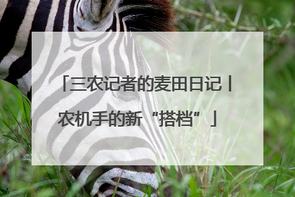 三农记者的麦田日记丨农机手的新“搭档”