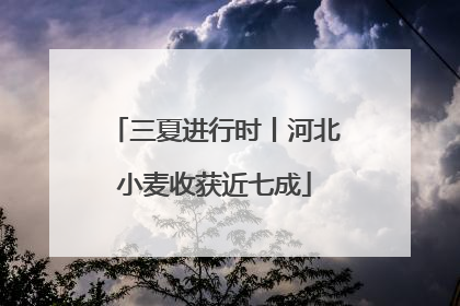 三夏进行时丨河北小麦收获近七成