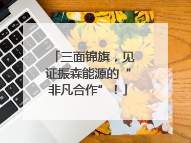 三面锦旗，见证振森能源的“非凡合作”！