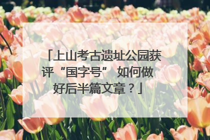 上山考古遗址公园获评“国字号” 如何做好后半篇文章？