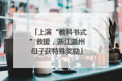 上演“教科书式”救援，浙江温州母子获特殊奖励
