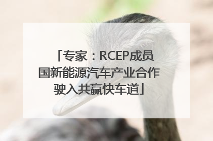 专家：RCEP成员国新能源汽车产业合作驶入共赢快车道