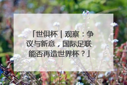 世俱杯｜观察：争议与新意，国际足联能否再造世界杯？