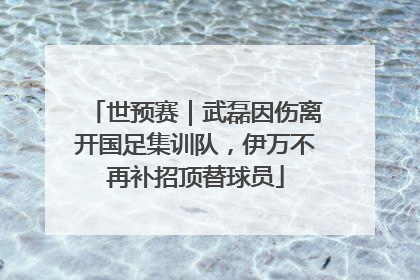 世预赛｜武磊因伤离开国足集训队，伊万不再补招顶替球员