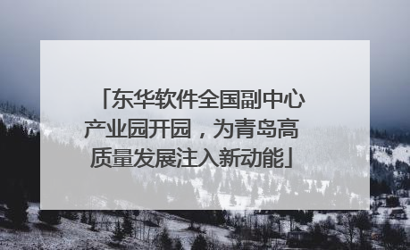 东华软件全国副中心产业园开园，为青岛高质量发展注入新动能