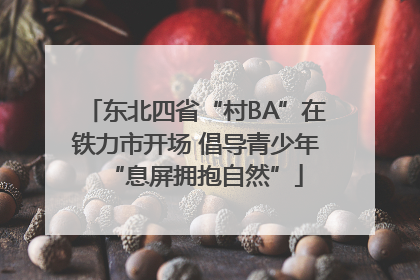 东北四省“村BA”在铁力市开场 倡导青少年“息屏拥抱自然”