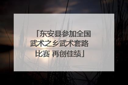 东安县参加全国武术之乡武术套路比赛 再创佳绩