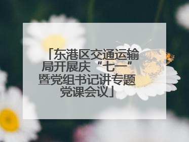 东港区交通运输局开展庆“七一”暨党组书记讲专题党课会议