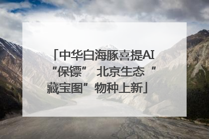 中华白海豚喜提AI“保镖” 北京生态“藏宝图”物种上新