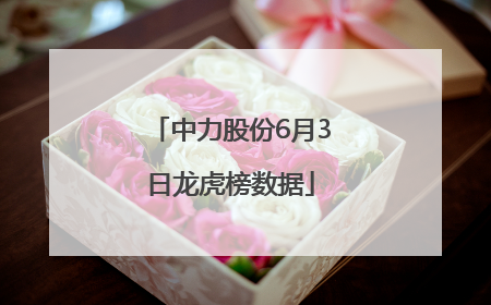 中力股份6月3日龙虎榜数据