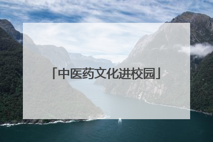 中医药文化进校园