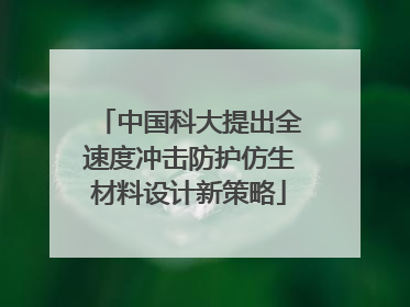 中国科大提出全速度冲击防护仿生材料设计新策略