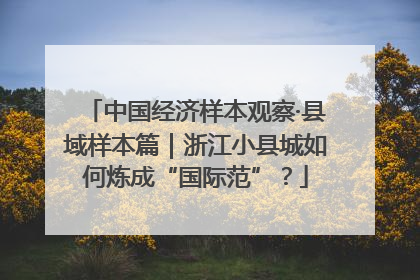 中国经济样本观察·县域样本篇｜浙江小县城如何炼成“国际范”？