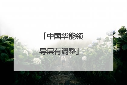 中国华能领导层有调整