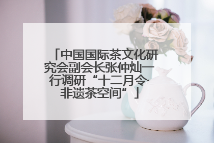 中国国际茶文化研究会副会长张仲灿一行调研“十二月令·非遗茶空间”