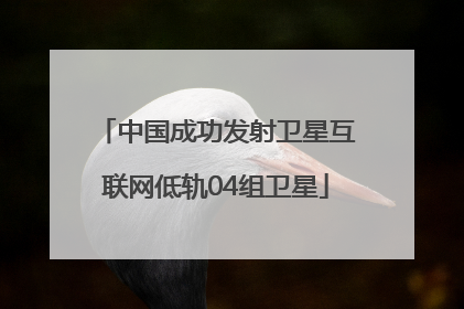 中国成功发射卫星互联网低轨04组卫星