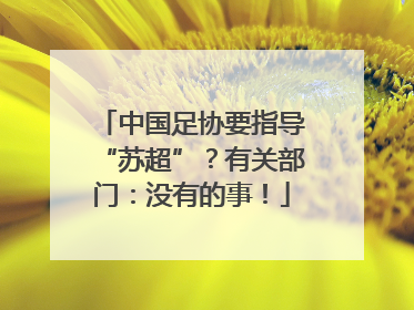 中国足协要指导“苏超”？有关部门：没有的事！