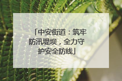 中安街道：筑牢防汛堤坝，全力守护安全防线