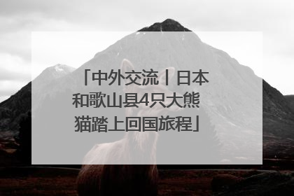 中外交流丨日本和歌山县4只大熊猫踏上回国旅程